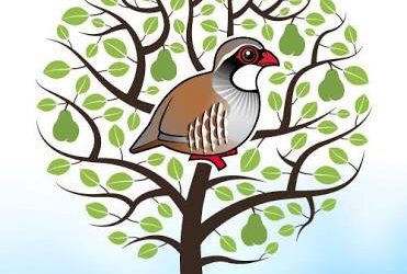 Your Best Health Insurance is Your GP