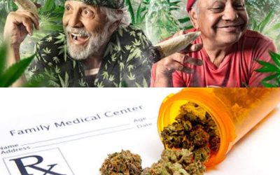 The Straight Dope on Dope